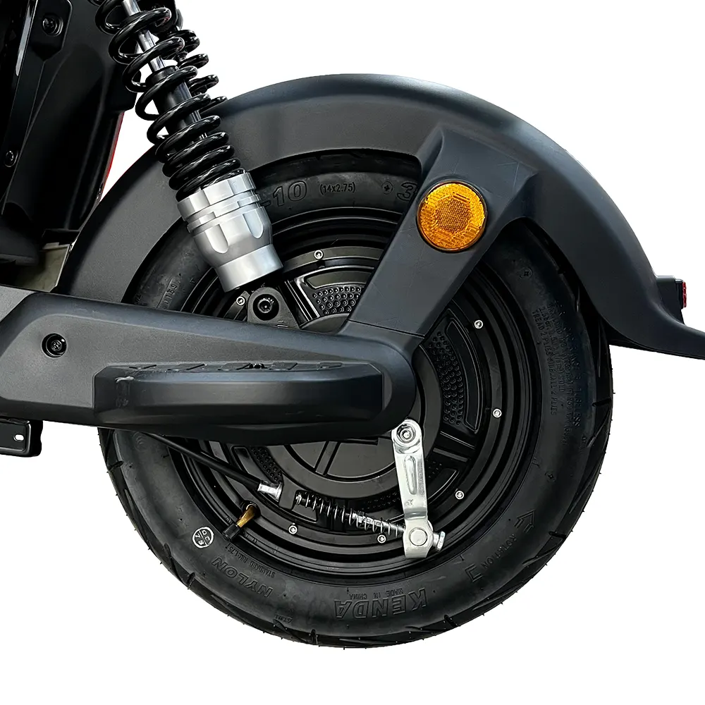 TAILG V10 — imagen 15